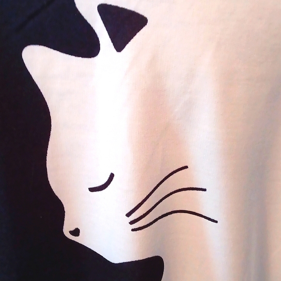 ABSTRACT TOP - Picture 7 of 8